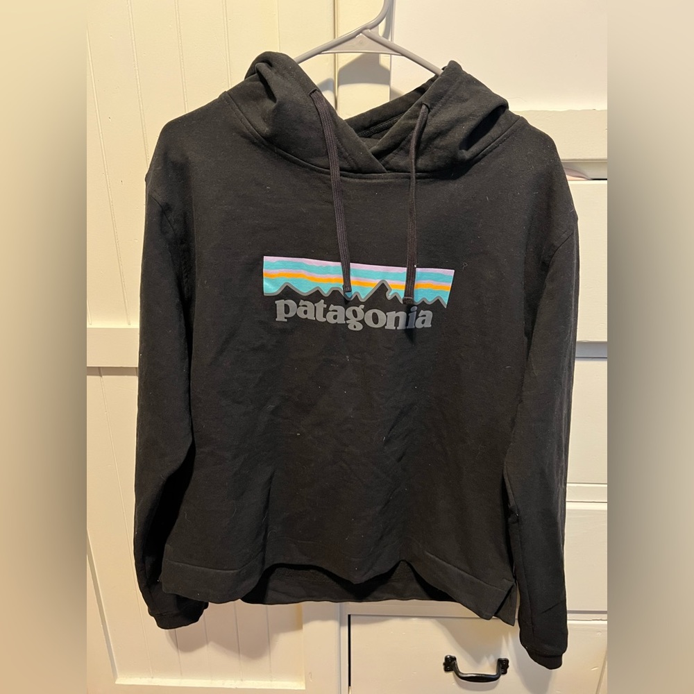 Patagonia Hooded Sweatshirt